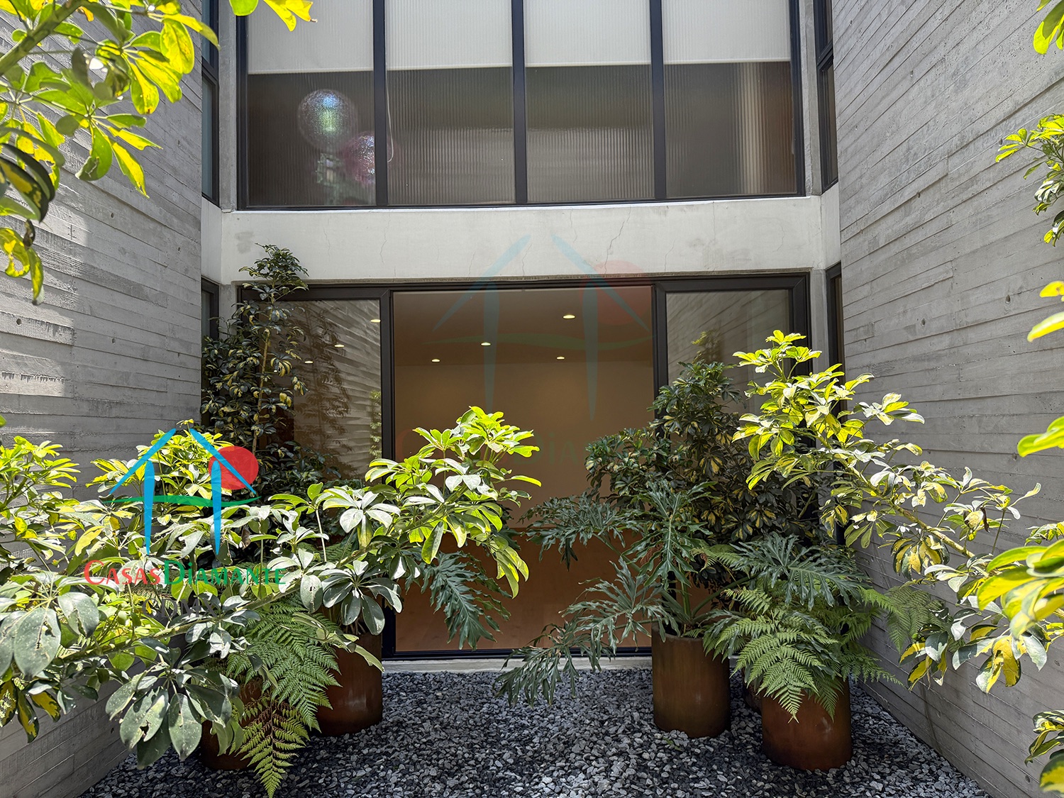 Las Aguilas Ursus AJA - Jardín Zen 5